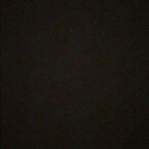 Meet your Posher, Charlotte